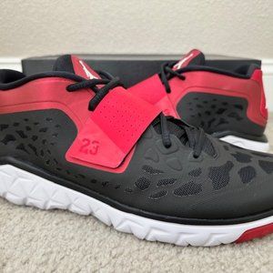 Nike Air Jordan flight Flex Trainer 2